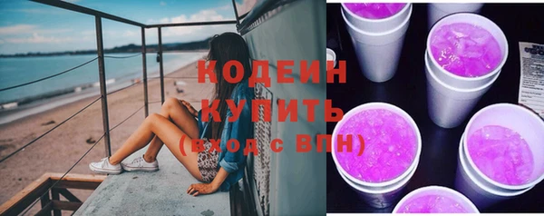 шишки Заволжье