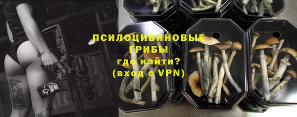шишки Заволжье