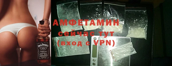 шишки Заволжье