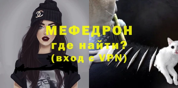 шишки Заволжье