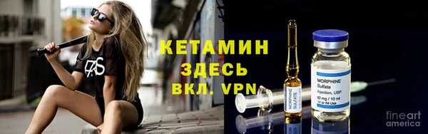 шишки Заволжье