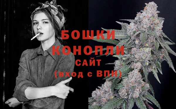 метадон Заводоуковск