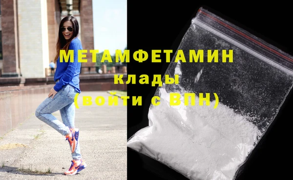 шишки Заволжье
