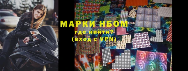 шишки Заволжье
