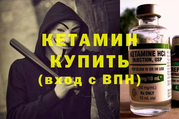 шишки Заволжье