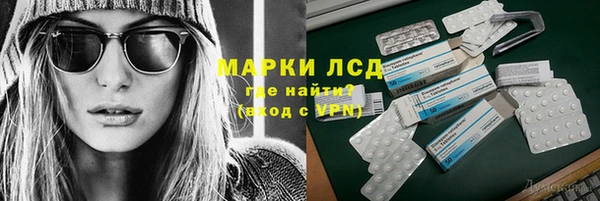 шишки Заволжье