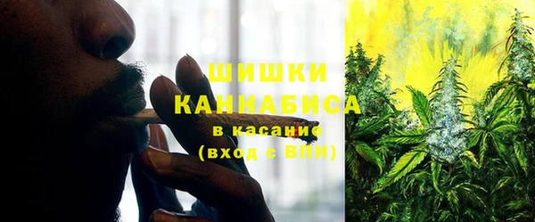 метадон Заводоуковск
