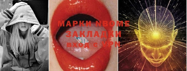 шишки Заволжье