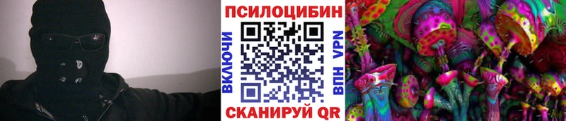 Галлюциногенные грибы Psilocybe  Рудня 